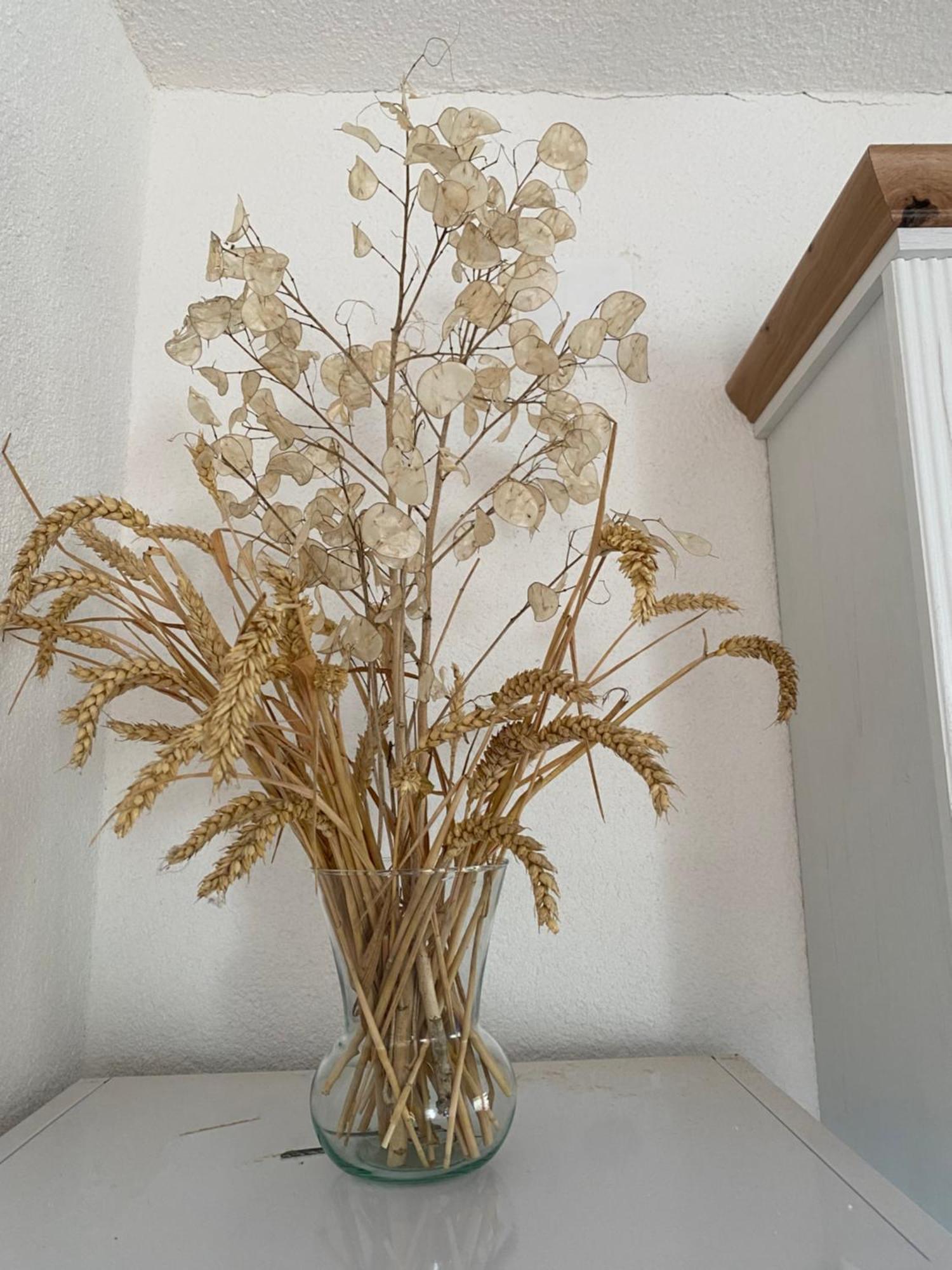 Apartman Kremen Kuterevo Esterno foto
